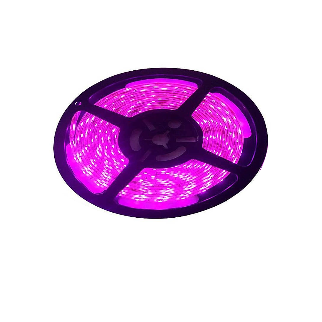 (2295) Cinta led 5050 rosada  12v resistente al agua Sin transformador